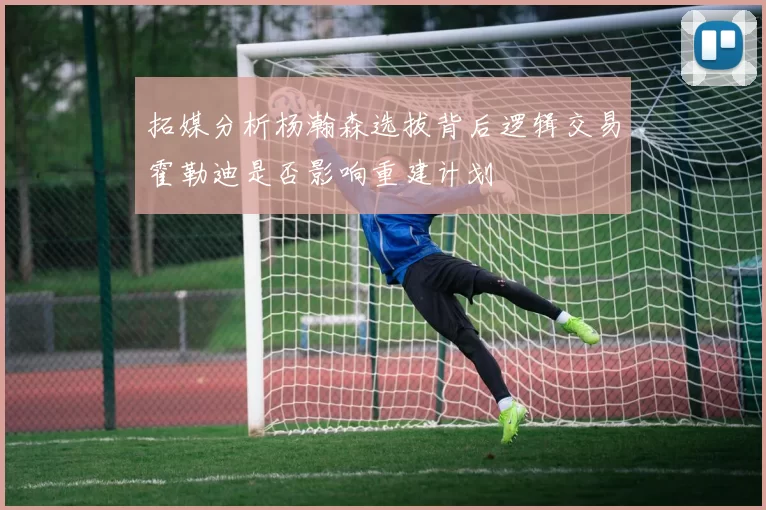 拓媒分析杨瀚森选拔背后逻辑交易霍勒迪是否影响重建计划