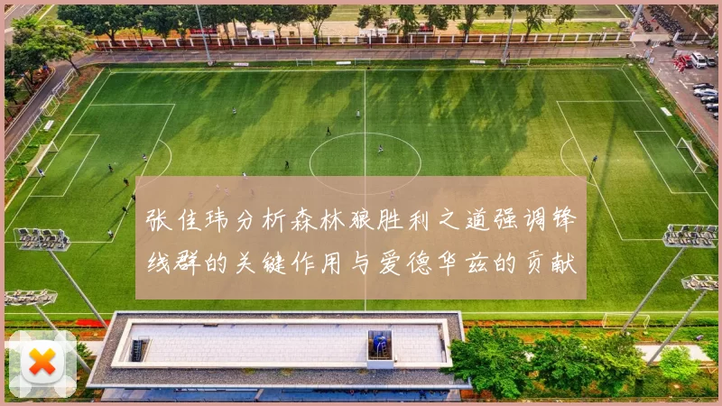 张佳玮分析森林狼胜利之道强调锋线群的关键作用与爱德华兹的贡献