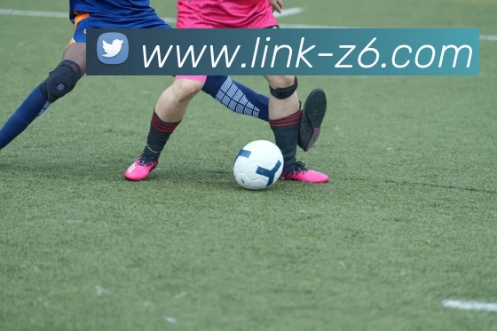 尊龙凯时APP 封面图